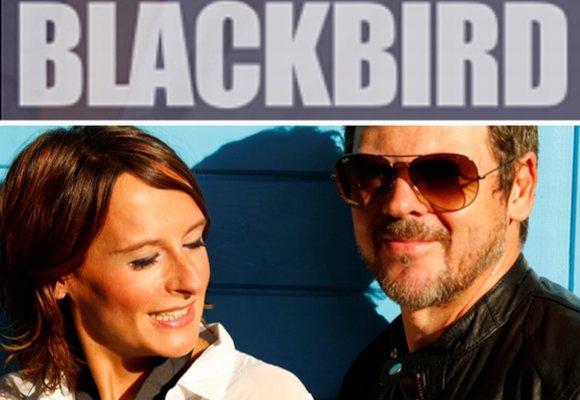 Blackbird - Profilbild 1 Blackbird - Profilbild 1