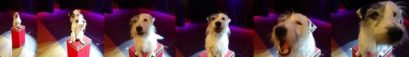 Florin & Cato - Profilbild 3 Florin & Cato - Profilbild 3