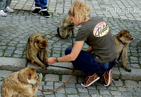 Tiertrainerin Maike Probst - Profilbild 1 Tiertrainerin Maike Probst - Profilbild 1