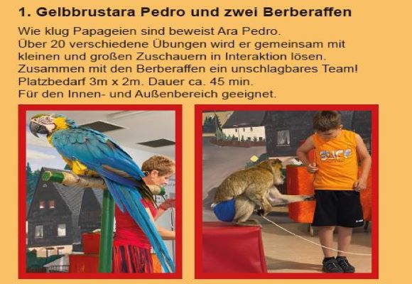 Tiertrainerin Maike Probst - Profilbild 2 Tiertrainerin Maike Probst - Profilbild 2