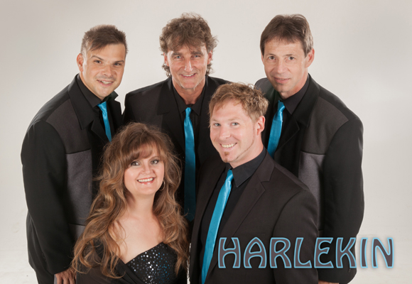 Harlekin - Profilbild 2 Harlekin - Profilbild 2